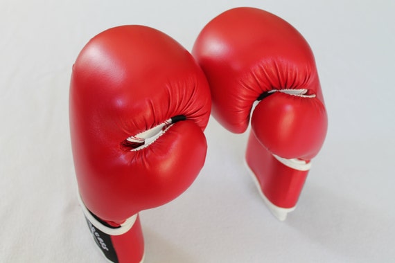 Purple Boxing Gloves 12oz size Red Boxing Gloves Lime Green Boxing Gloves by Physical Success
