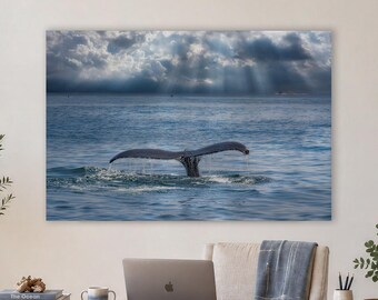 Humpback Whale Wall Art, Marine Life Photography for Office