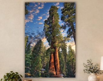 Giant Sequoia Tree Wall Art, Boho Nature Decor for Living Room