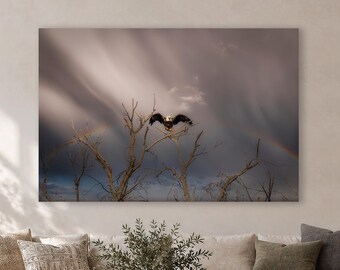 Bald Eagle Art Print for Bird Lover, Wildlife Wall Decor