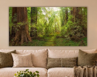 Redwood Forest Wall Art, Ancient Tree Artwork and Woodland Decor for Bedroom