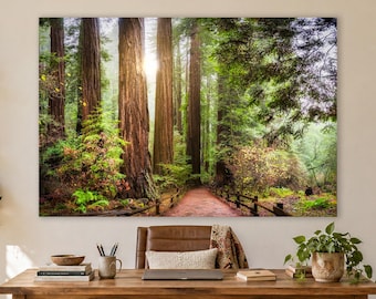 Redwood Tree Wall Art for Boho Nature Decor, Limited Edition Forest Sunrise Photography