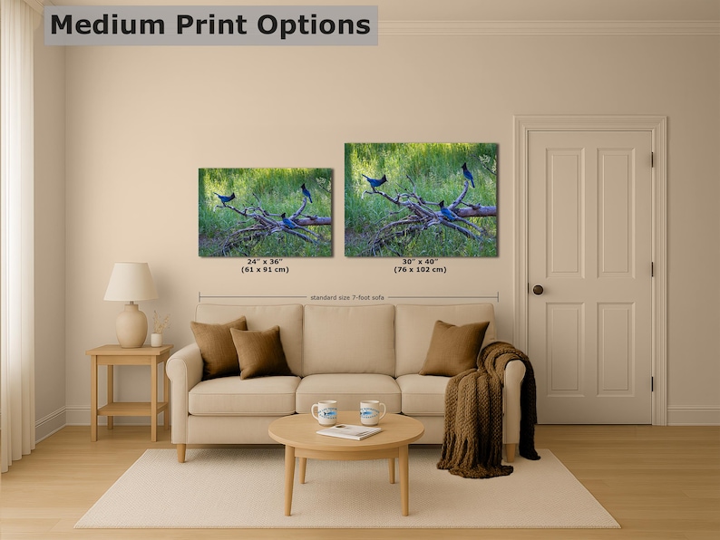Steller Jay Wildlife Photography, Blue Bird Wall Art Nature Photo image 7