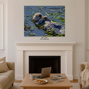 Sea Otter Picture Marine Mammal Wildlife Photography, Relaxing Artwork Nature Photo image 16