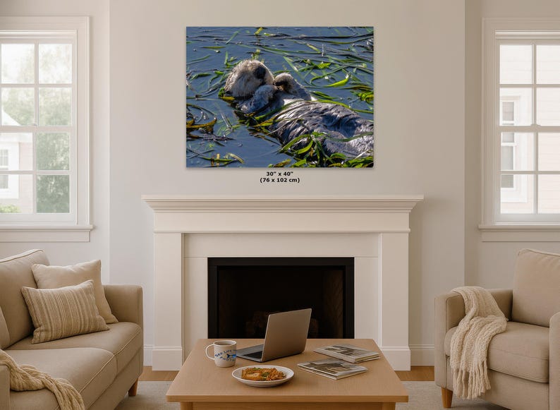 Sea Otter Picture Marine Mammal Wildlife Photography, Relaxing Artwork Nature Photo image 16