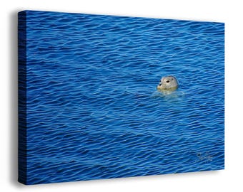 Seal Print Marine Mammal Wildlife Photography, Ocean Picture Relaxation Artwork Nature Photo