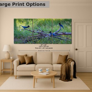 Steller Jay Wildlife Photography, Blue Bird Wall Art Nature Photo image 11