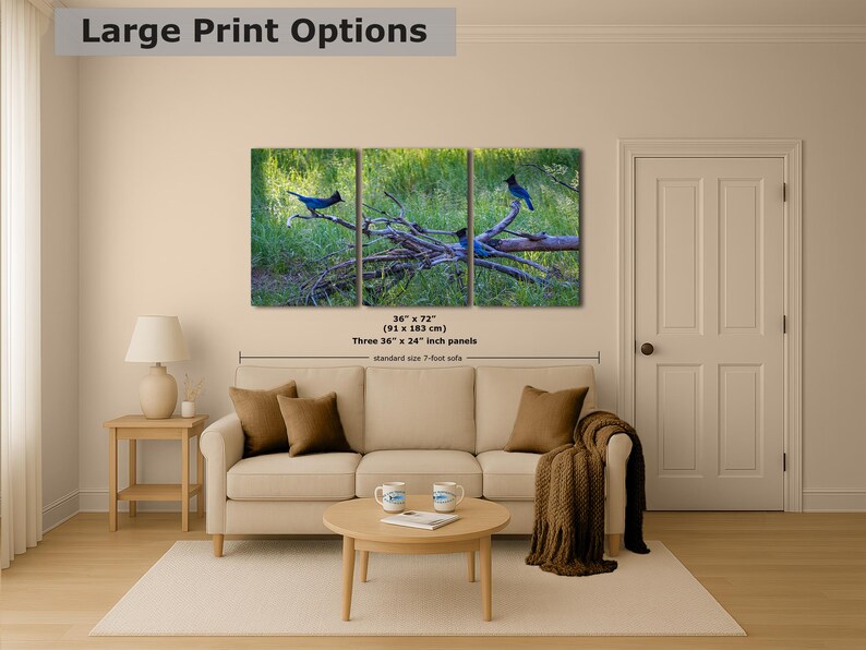 Steller Jay Wildlife Photography, Blue Bird Wall Art Nature Photo image 10