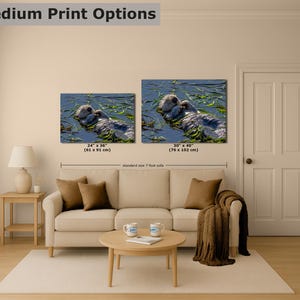 Sea Otter Picture Marine Mammal Wildlife Photography, Relaxing Artwork Nature Photo image 7
