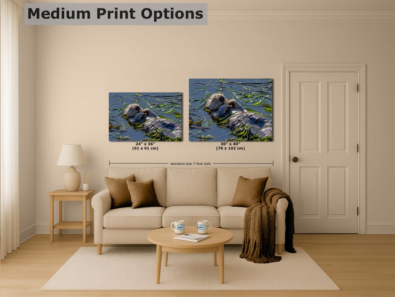 Sea Otter Picture Marine Mammal Wildlife Photography, Relaxing Artwork Nature Photo image 7