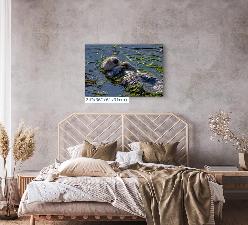 Sea Otter Picture Marine Mammal Wildlife Photography, Relaxing Artwork Nature Photo image 15