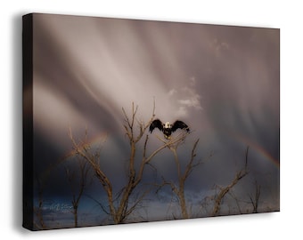 Bald Eagle Framed Canvas Wall Art for Office, Bird Nature Photo