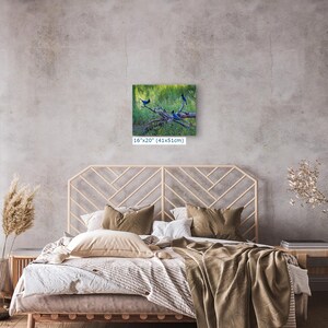 Steller Jay Wildlife Photography, Blue Bird Wall Art Nature Photo image 13