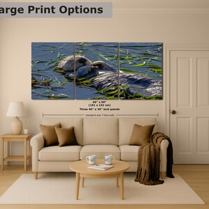 Sea Otter Picture Marine Mammal Wildlife Photography, Relaxing Artwork Nature Photo image 11