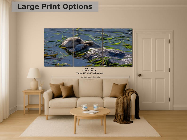 Sea Otter Picture Marine Mammal Wildlife Photography, Relaxing Artwork Nature Photo image 11