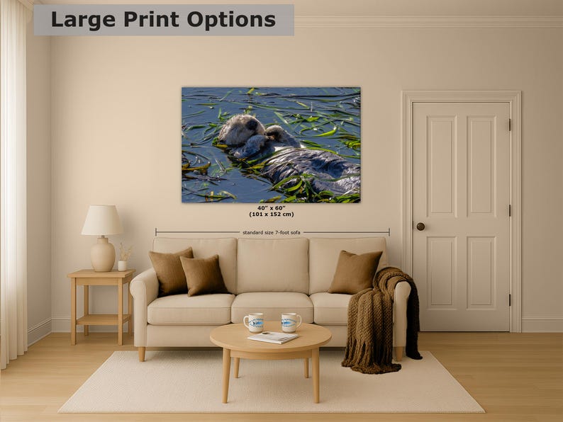Sea Otter Picture Marine Mammal Wildlife Photography, Relaxing Artwork Nature Photo image 8