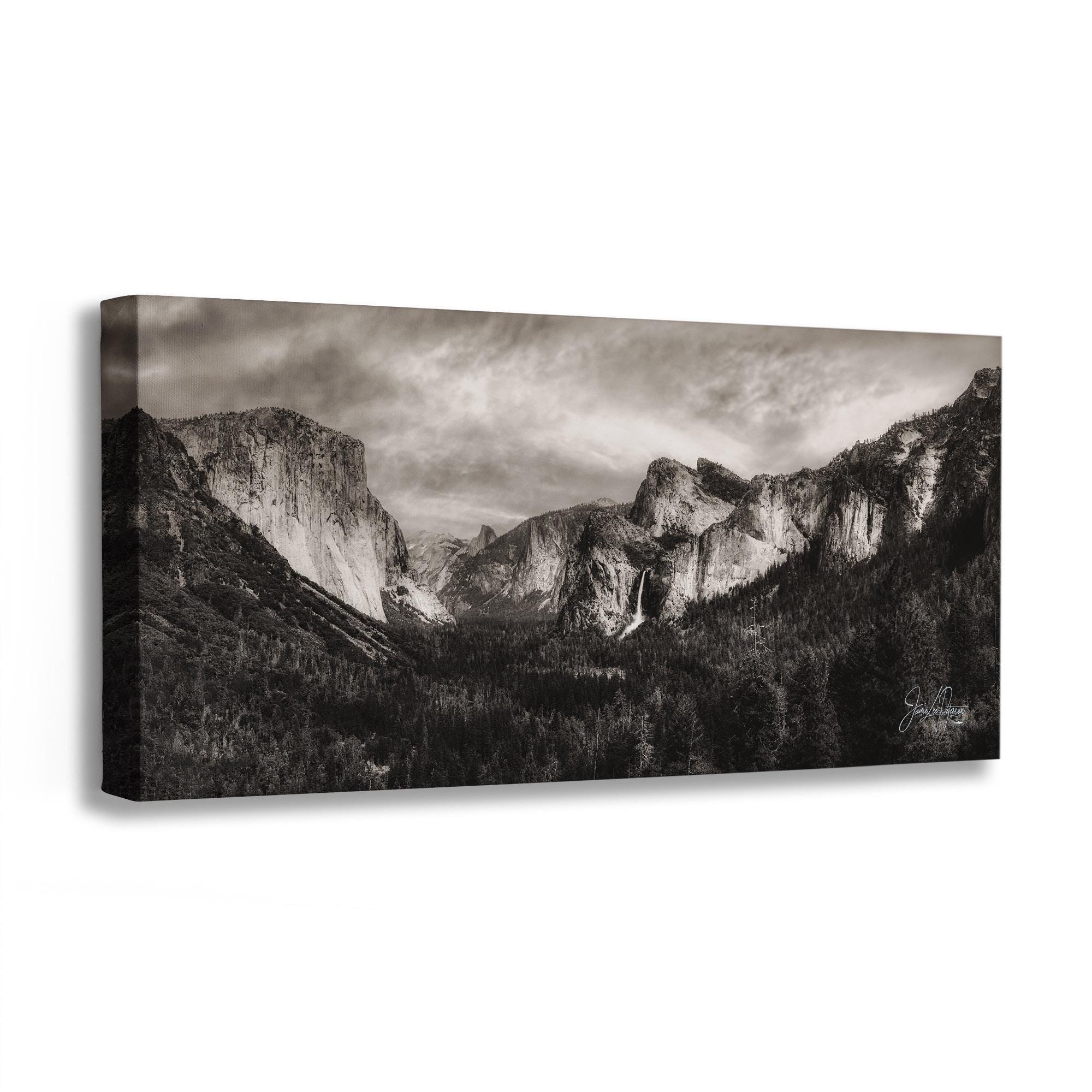 Forest in ? Snow (エンボスマーク入)（アンセル アダムス） 額装品 