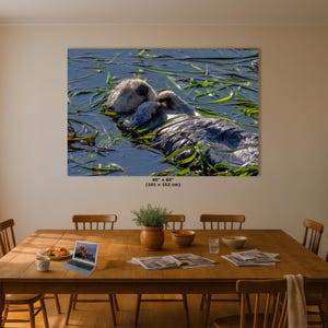 Sea Otter Picture Marine Mammal Wildlife Photography, Relaxing Artwork Nature Photo image 17