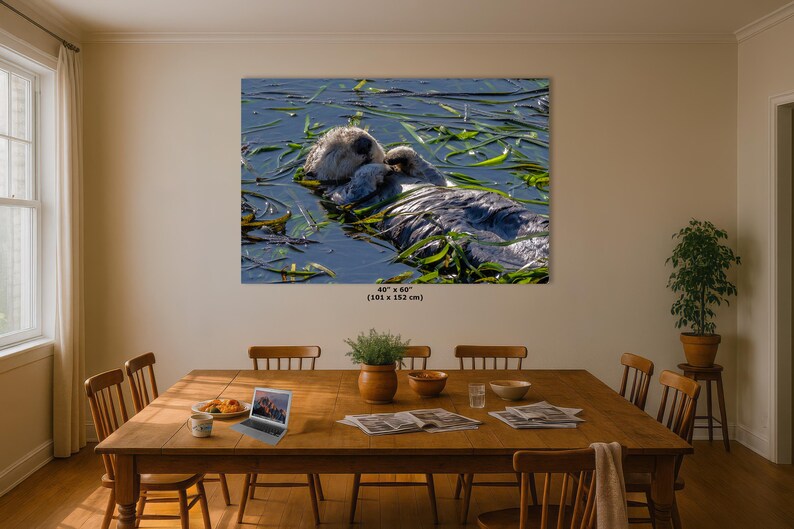 Sea Otter Picture Marine Mammal Wildlife Photography, Relaxing Artwork Nature Photo image 17