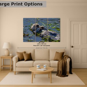 Sea Otter Picture Marine Mammal Wildlife Photography, Relaxing Artwork Nature Photo image 9