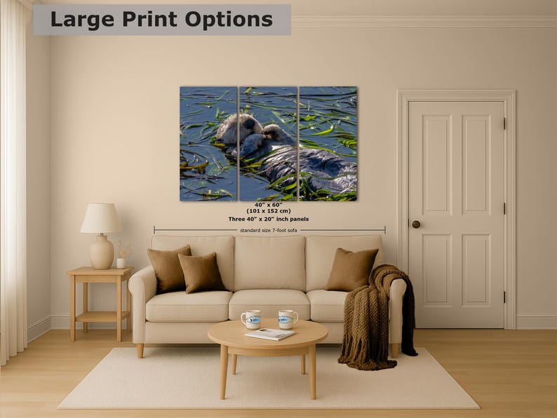 Sea Otter Picture Marine Mammal Wildlife Photography, Relaxing Artwork Nature Photo image 9