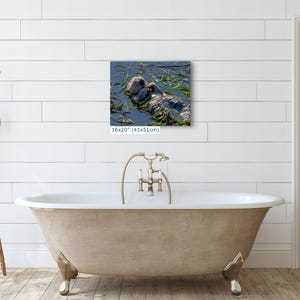 Sea Otter Picture Marine Mammal Wildlife Photography, Relaxing Artwork Nature Photo image 12