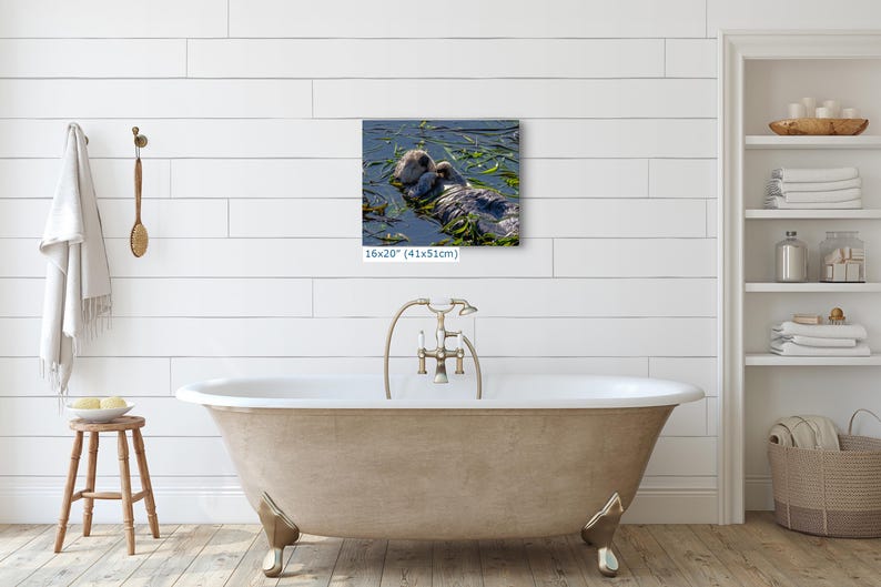 Sea Otter Picture Marine Mammal Wildlife Photography, Relaxing Artwork Nature Photo image 12