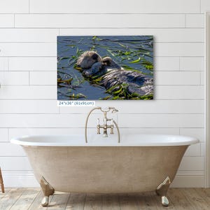 Sea Otter Picture Marine Mammal Wildlife Photography, Relaxing Artwork Nature Photo image 14