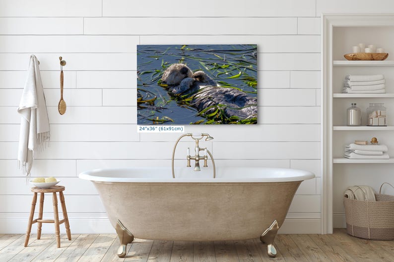Sea Otter Picture Marine Mammal Wildlife Photography, Relaxing Artwork Nature Photo image 14