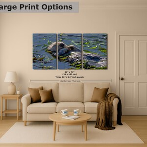Sea Otter Picture Marine Mammal Wildlife Photography, Relaxing Artwork Nature Photo image 10