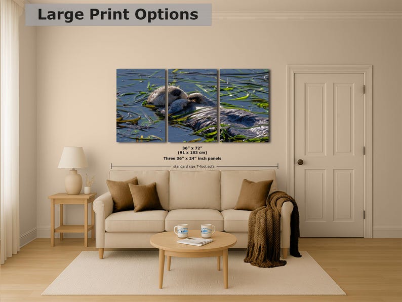 Sea Otter Picture Marine Mammal Wildlife Photography, Relaxing Artwork Nature Photo image 10