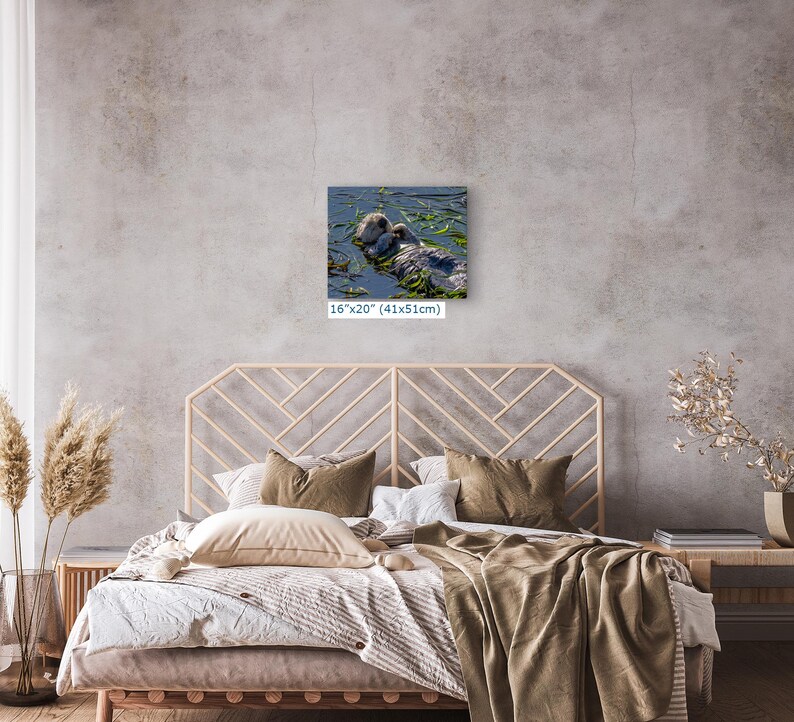Sea Otter Picture Marine Mammal Wildlife Photography, Relaxing Artwork Nature Photo image 13