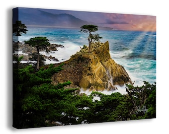 Lone Cypress Monterey Bay California Coastline Ocean Picture Nature Photo Relaxation Artwork Canvas