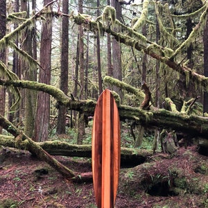 Hollow wooden surfboards