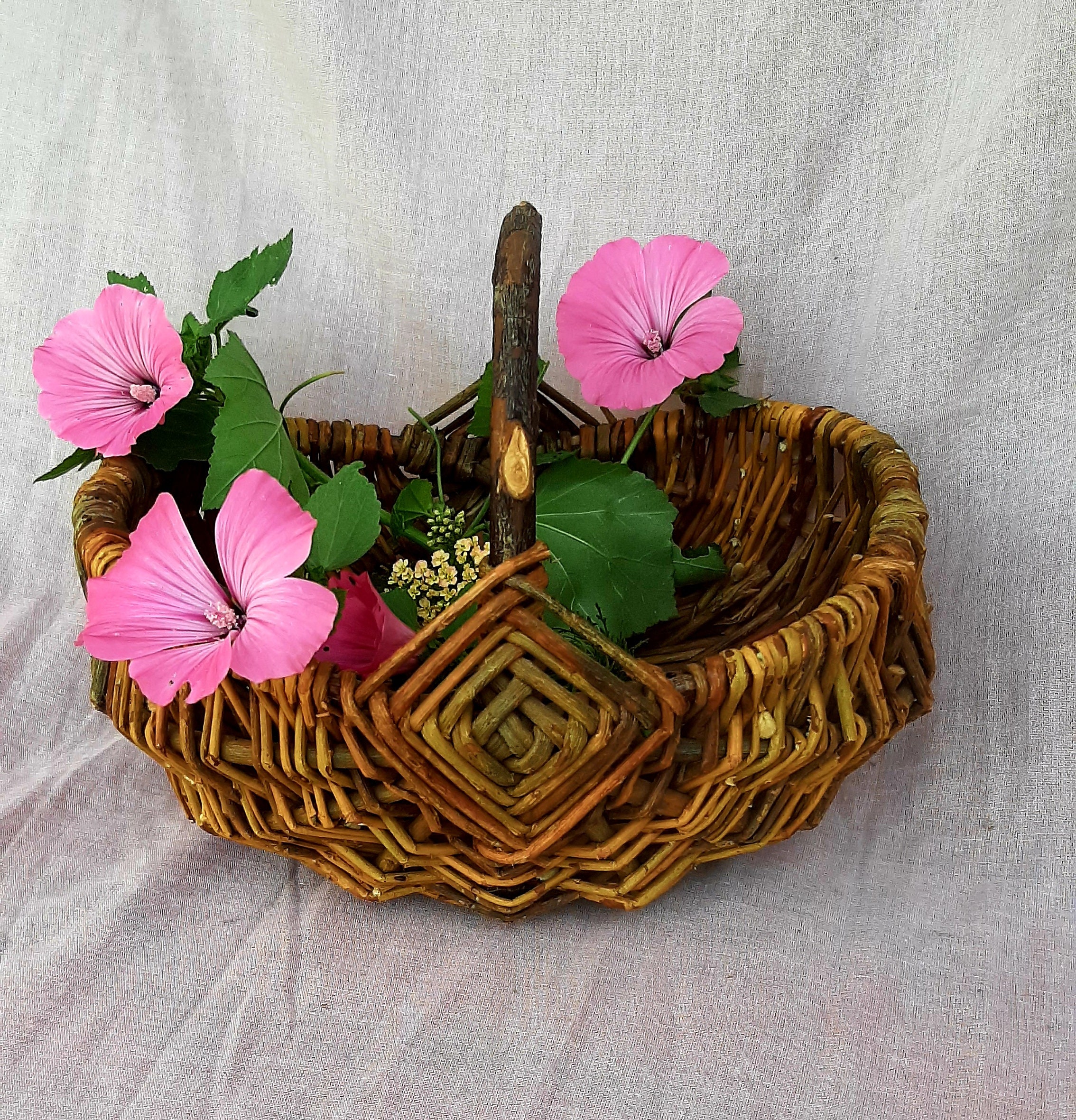 Small Antique Basket.