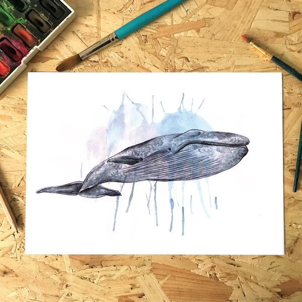 Whale Watercolour Print, Illustration, Wall Art, Drawing A4, A5, Nursery