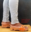 Cecil: Unisex Swedish Clog with Noise Reduction | Dr Scholl Wooden Sandal| Ergonomic with recycled tires|Orthotics Orthopedics Medical Shoes product logo