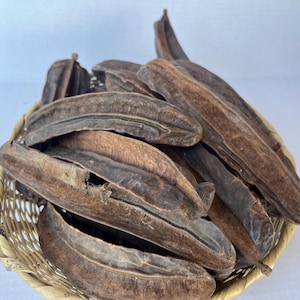 May include: A woven basket filled with dried, elongated seed pods. The pods are a mix of brown and tan hues, with a textured surface. The basket is made of light-colored woven material. The pods are arranged in a pile, filling the basket.