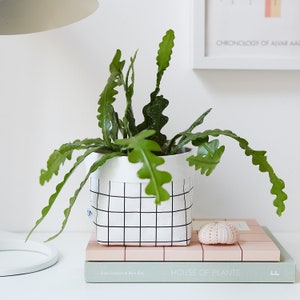 Griglia Planter - Media
