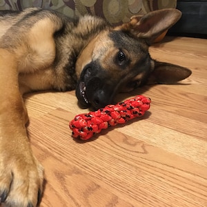 Braided Rope Dog Toy