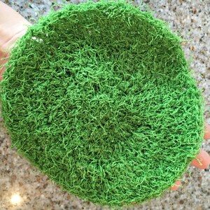 May include: A green, round, crocheted scrubby made of yarn.