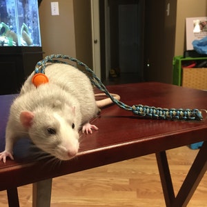 Rat Harness Etsy