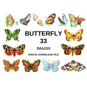 Digital images, Butterfly, 33 images, A4, Digital elements, Digital supply, Printable butterfly, Butterfly images, Digital download file