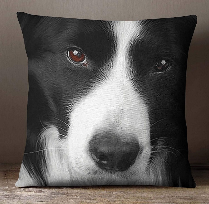 Square Cushion Cover ISUB-SAS349A Canvas Cushion Cover Satin Pillow Case Black /& White Border Collie Dog Face Digital Print Pillow Case
