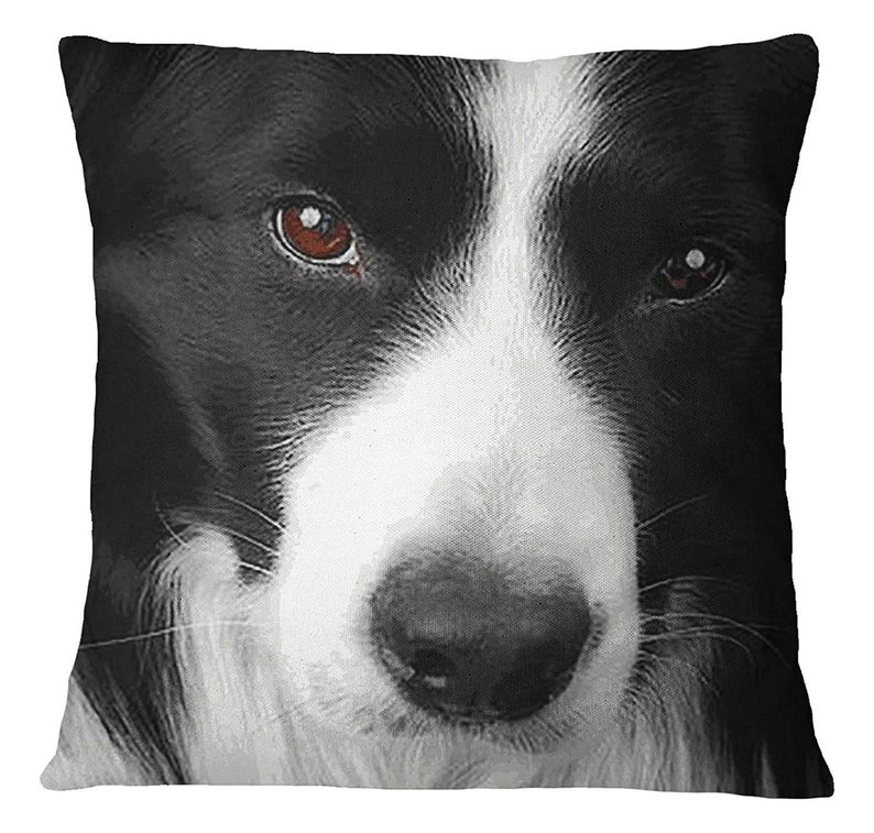 Square Cushion Cover ISUB-SAS349A Canvas Cushion Cover Satin Pillow Case Black /& White Border Collie Dog Face Digital Print Pillow Case