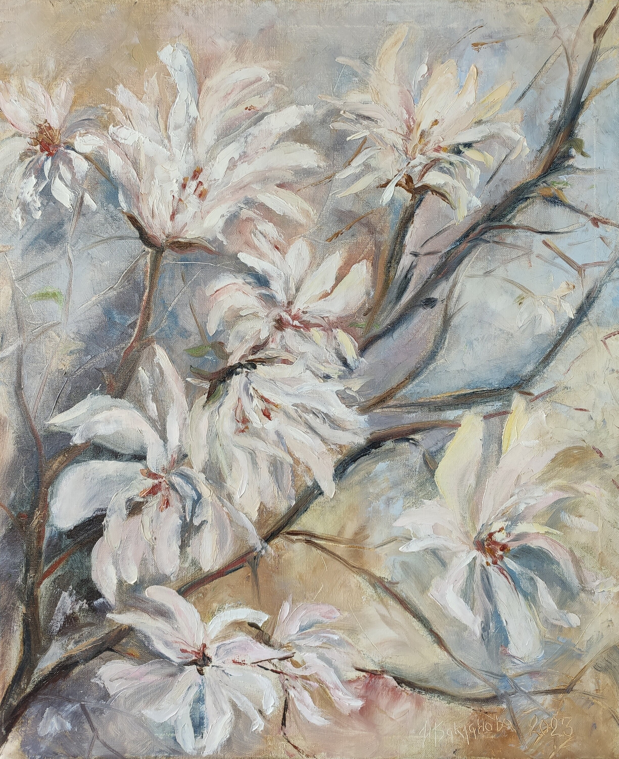 Star magnolia tree - Etsy 日本