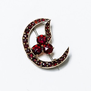 Rare & Beautiful Moon Flower Shaped Celestial Victorian Bohemian Garnet Flower Brooch Heirloom