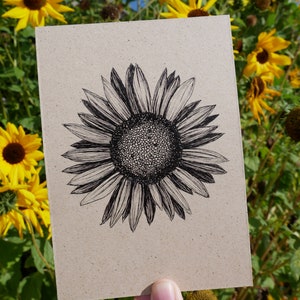 Postal hierba papel girasol