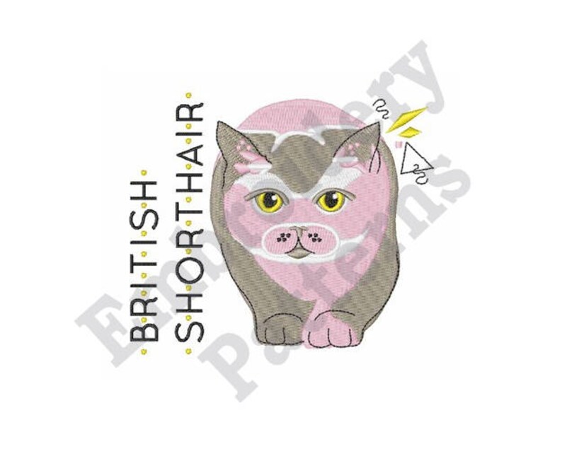 British Shorthair Cat Machine Embroidery Design 4 X 4 Etsy