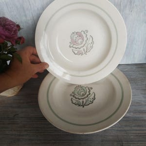 May include: Two white ceramic plates with a floral design in the center. The plates have a light green border and a pink, gray, and green floral pattern. The plates are on a wooden surface.